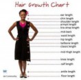 /album/photogallery/chart-3-jpg/